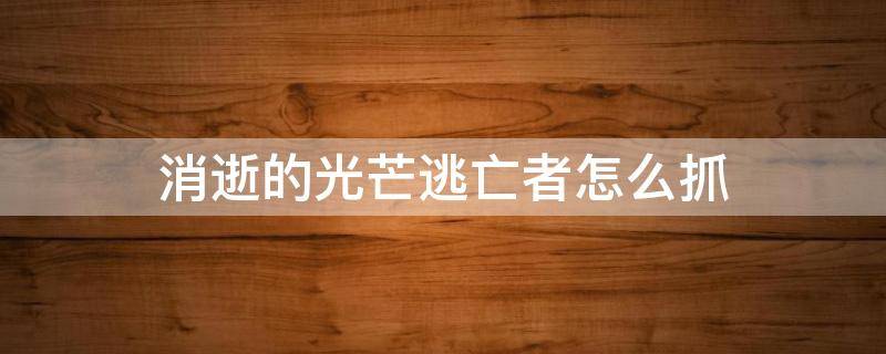 消逝的光芒逃亡者怎么抓 消逝的光芒如何抓逃亡者