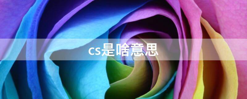 cs是啥意思（苹果手机diagnostics是啥意思）