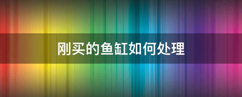刚买的鱼缸如何处理（新买的鱼缸怎样处理才能养鱼）
