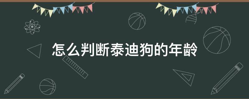 怎么判断泰迪狗的年龄（怎么判断泰迪狗的年龄图解）