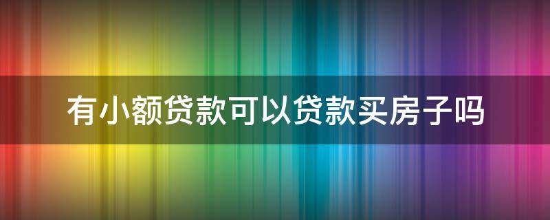 有小额贷款可以贷款买房子吗 买房子贷款有小额贷款可以贷款吗