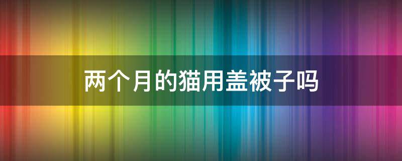 两个月的猫用盖被子吗 宠物猫要盖被子吗