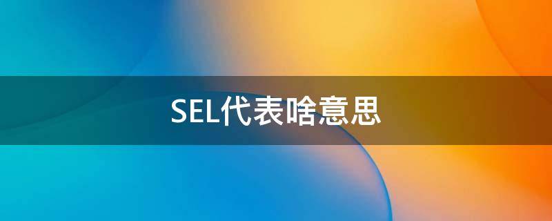 SEL代表啥意思 sel表示什么