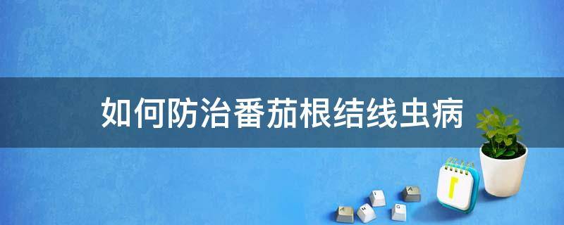 如何防治番茄根结线虫病 茄子根结线虫病