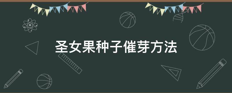 圣女果种子催芽方法 圣女果种子育苗方法