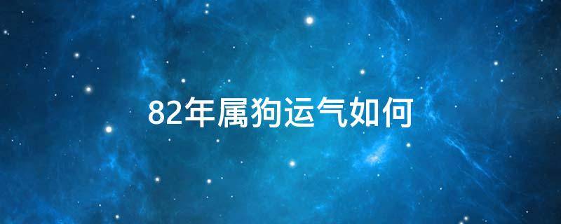 82年属狗运气如何 82年属狗的财运如何