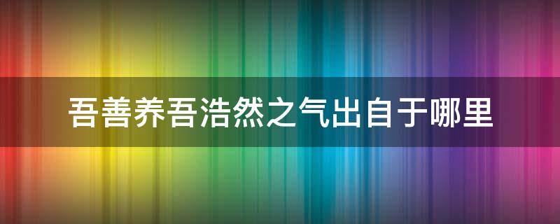 吾善养吾浩然之气出自于哪里 吾善养吾浩然之气怎么理解