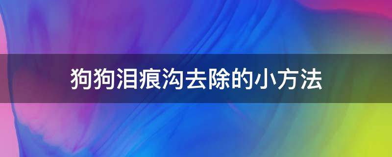 狗狗泪痕沟去除的小方法 狗狗泪痕沟怎么去除