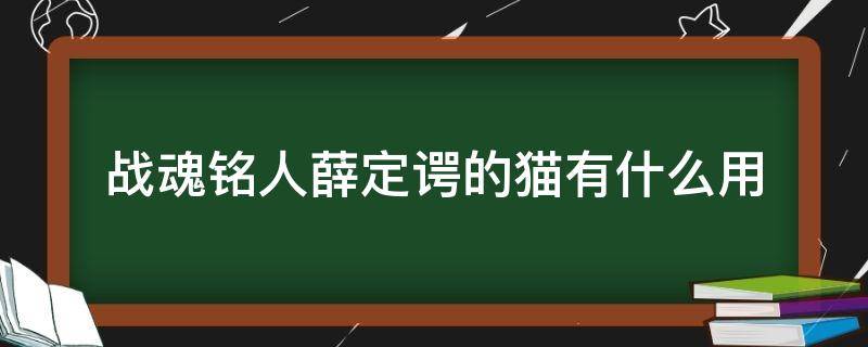 战魂铭人薛定谔的猫有什么用 战魂铭人中薛定谔的猫的作用