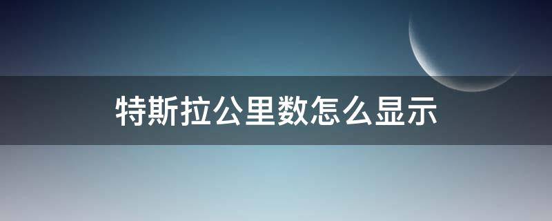 特斯拉公里数怎么显示 特斯拉怎么显示里程