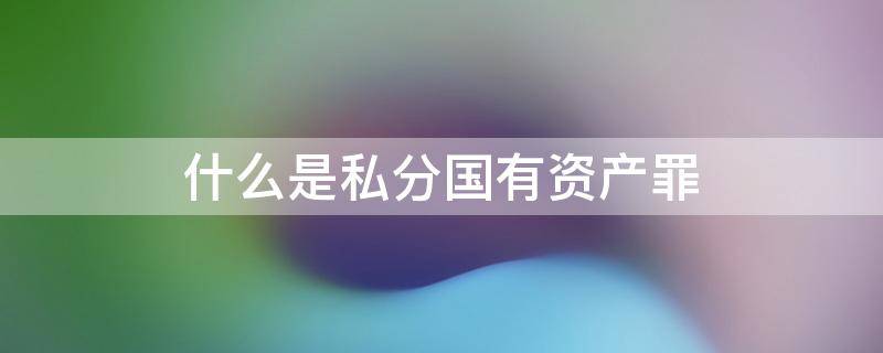 什么是私分国有资产罪（什么是私分国有资产罪和私分罚没财物罪?）