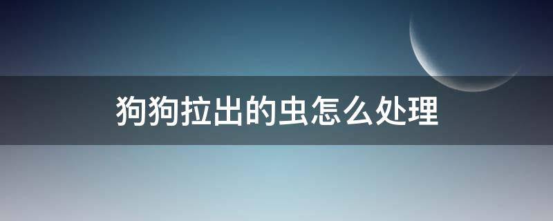 狗狗拉出的虫怎么处理 狗狗拉出来的虫怎么处理