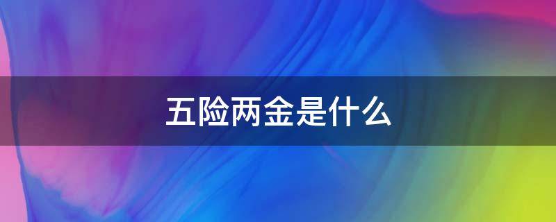 五险两金是什么 五险两金是什么金