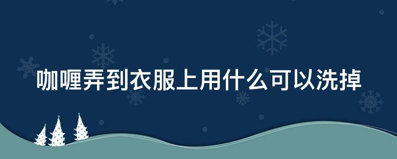 咖喱弄到衣服上用什么可以洗掉