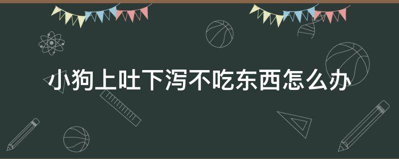 小狗上吐下泻不吃东西怎么办 狗不吃东西上吐下泻是怎么回事