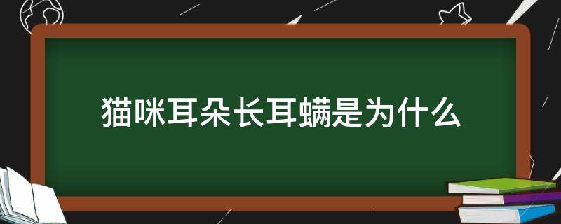 猫咪耳朵长耳螨是为什么 猫咪为啥长耳螨