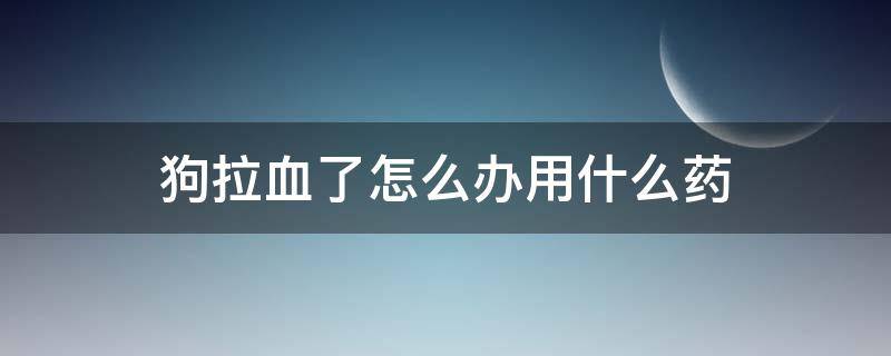 狗拉血了怎么办用什么药 狗拉血怎样治疗