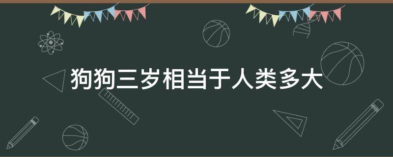 狗狗三岁相当于人类多大 狗狗三岁是人类的多少岁