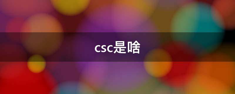 csc是啥（Csc是啥）