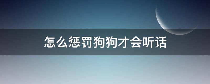 怎么惩罚狗狗才会听话（在狗不听话的时候要怎么训他?）