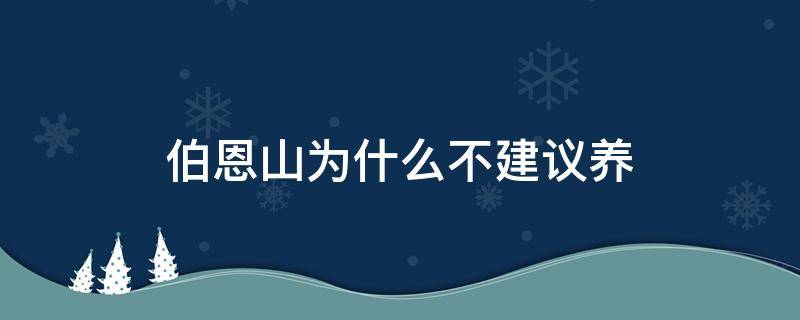 伯恩山为什么不建议养（哪些城市可以养伯恩山）