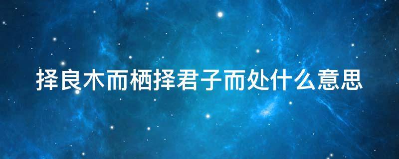 择良木而栖择君子而处什么意思（择良木而栖择君子而处什么意思啊）