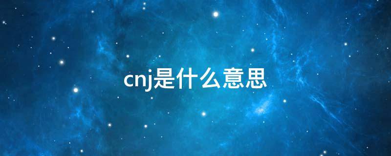 cnj是什么意思 cnj是什么意思车上的