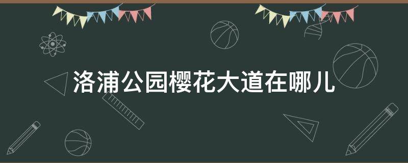 洛浦公园樱花大道在哪儿（洛浦公园樱花大道从哪个门进）