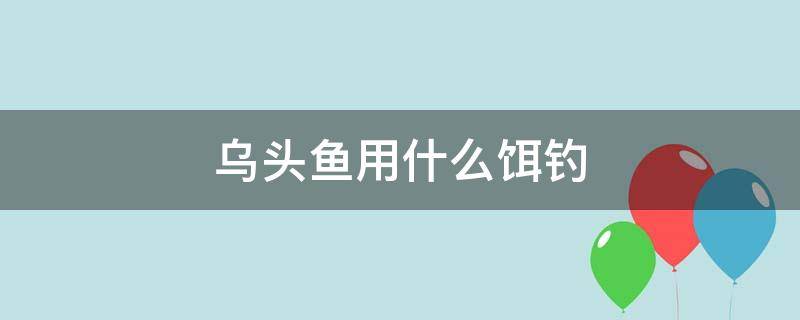 乌头鱼用什么饵钓（乌头吃什么鱼饵）