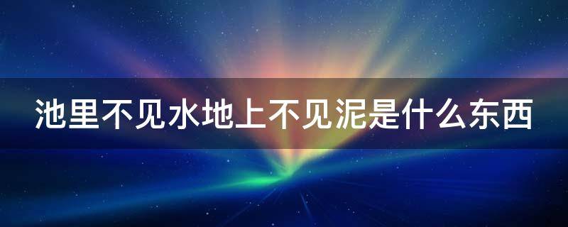 池里不见水地上不见泥是什么东西