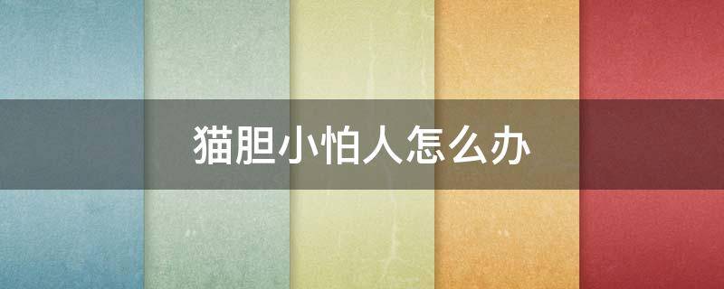 猫胆小怕人怎么办（猫胆小怕生人怎么办）