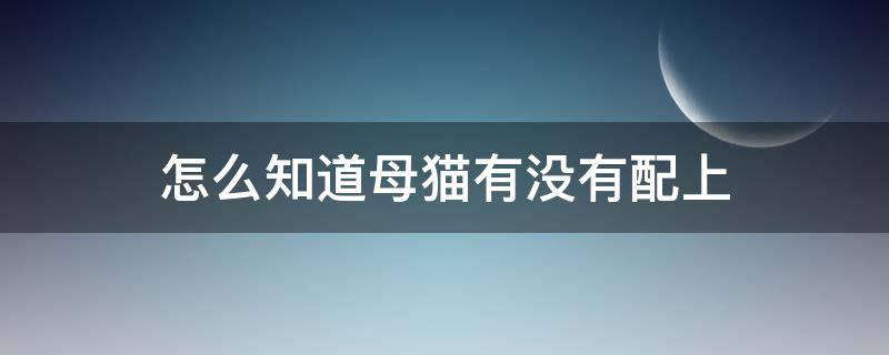 怎么知道母猫有没有配上 怎么知道母猫有没有配上种没配上