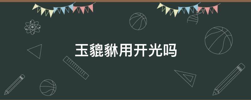 玉貔貅用开光吗 玉石貔貅开光的正宗方法如下