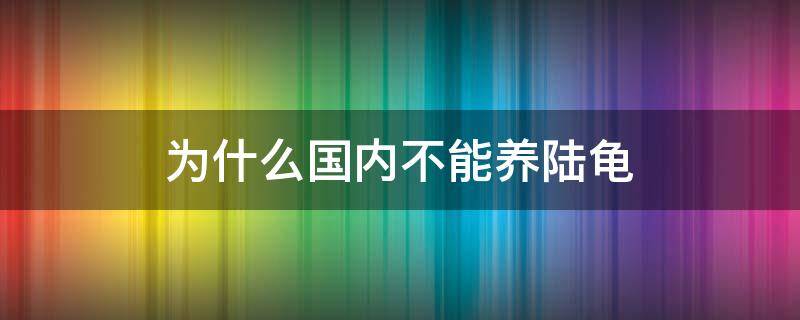 为什么国内不能养陆龟（陆龟现在还能不能在中国养）