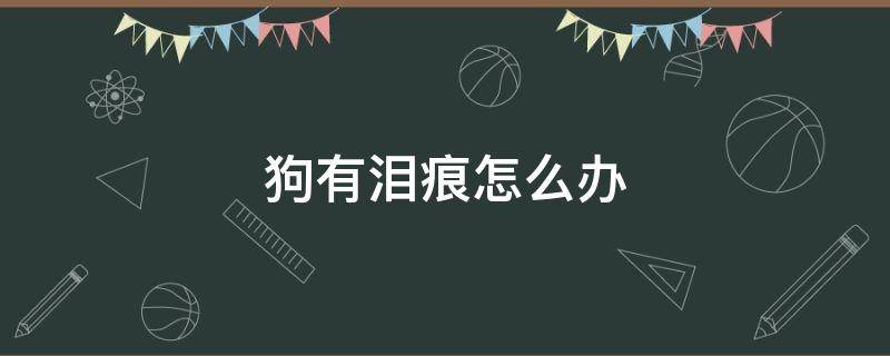 狗有泪痕怎么办 泰迪狗狗有泪痕怎么办