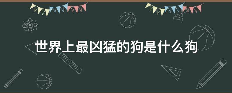 世界上最凶猛的狗是什么狗 世界上最凶猛的狗是什么狗有没有图片