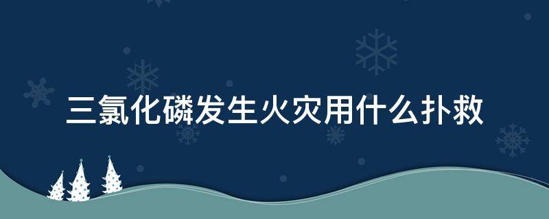 三氯化磷发生火灾用什么扑救（三氯化磷发生火灾时可用什么灭火器）