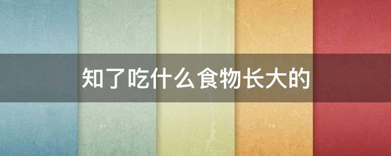 知了吃什么食物长大的（知了吃的食物是什么）