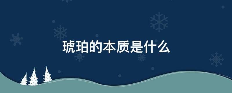 琥珀的本质是什么 琥珀的本质是什么?四年级