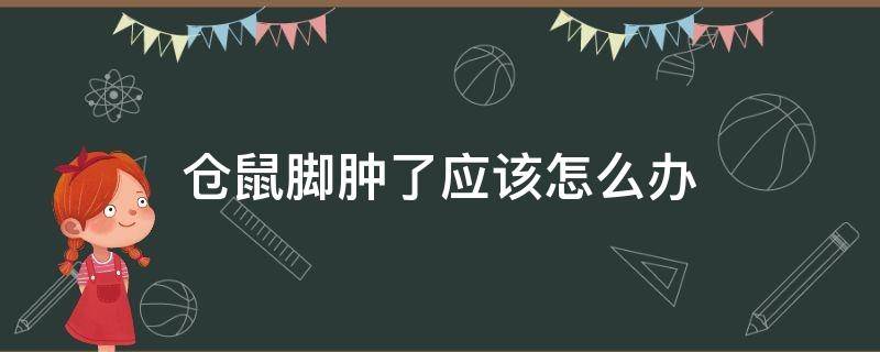 仓鼠脚肿了应该怎么办 仓鼠脚肿了怎么回事