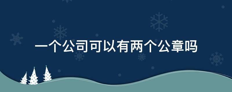 一个公司可以有两个公章吗（公司能有两个公章吗?）