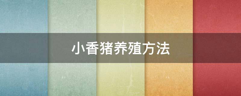 小香猪养殖方法 小香猪的养殖