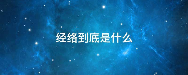 经络到底是什么（经络到底是什么东西）