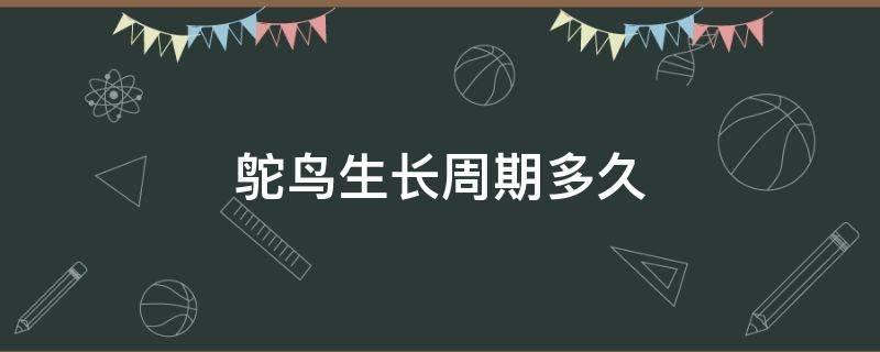 鸵鸟生长周期多久 鸵鸟的饲养周期有多长