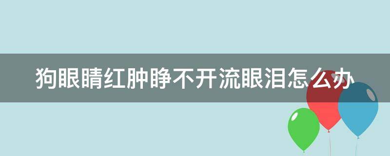 狗眼睛红肿睁不开流眼泪怎么办 狗狗眼睛红肿流眼泪睁不开