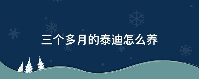 三个多月的泰迪怎么养 幼小泰迪怎么养3个月