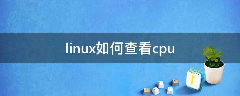 linux如何查看cpu（linux如何查看cpu使用率）