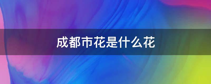 成都市花是什么花（成都市花是什么花啊）