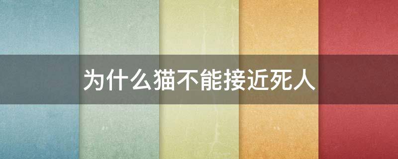 为什么猫不能接近死人（为什么人死猫不能靠近）