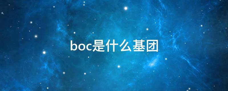 boc是什么基团 Boc基团分子量